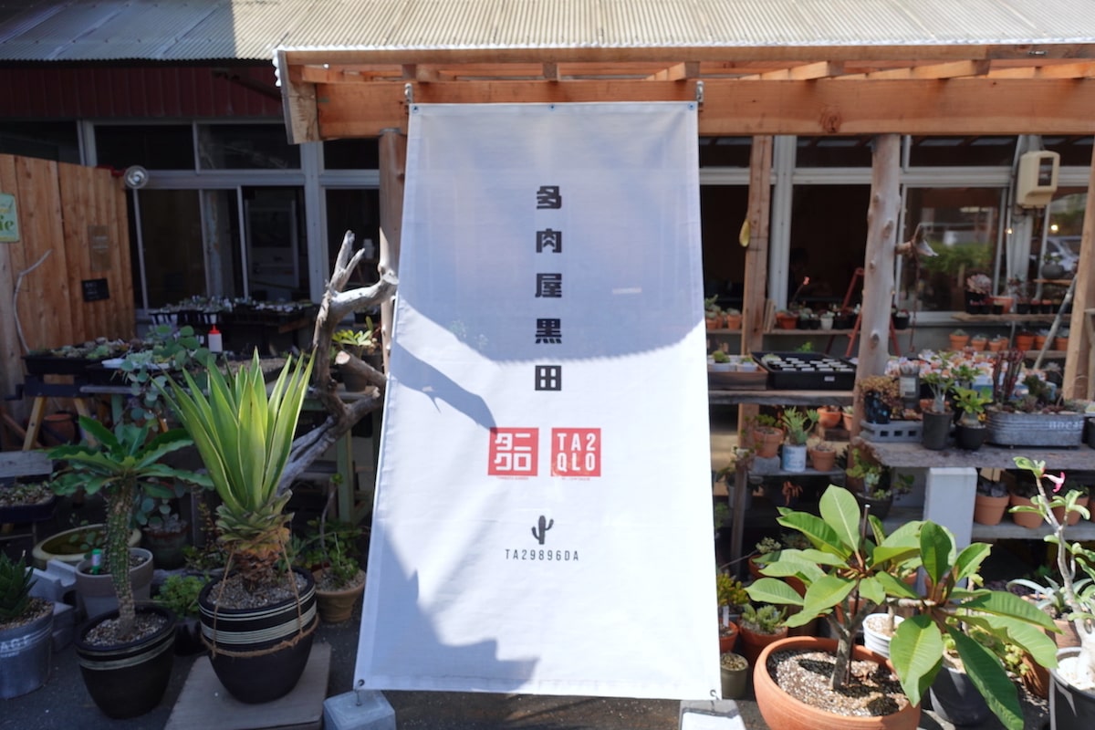 どこかで見たことあるロゴの多肉植物店 多肉屋黒田 Ta2qlo 浜松 南区法枝町 ボタニカルライフ Erping アーピン